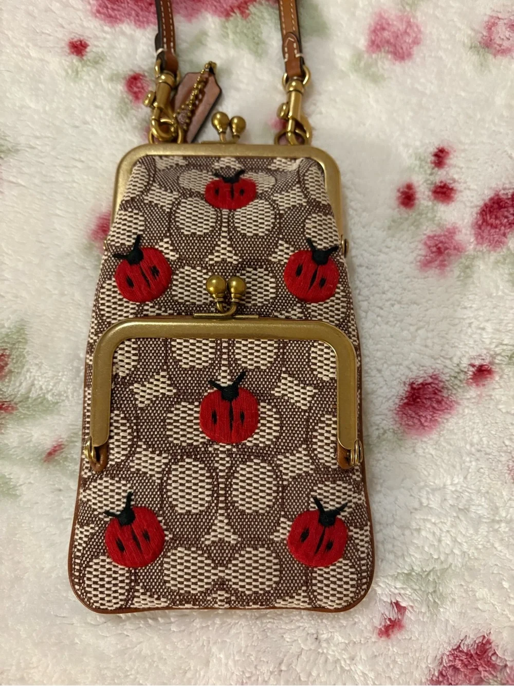 Coach Signature Ladybug Kisslock super rare HTF prestine condition